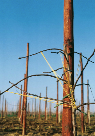 Stacks Image 31